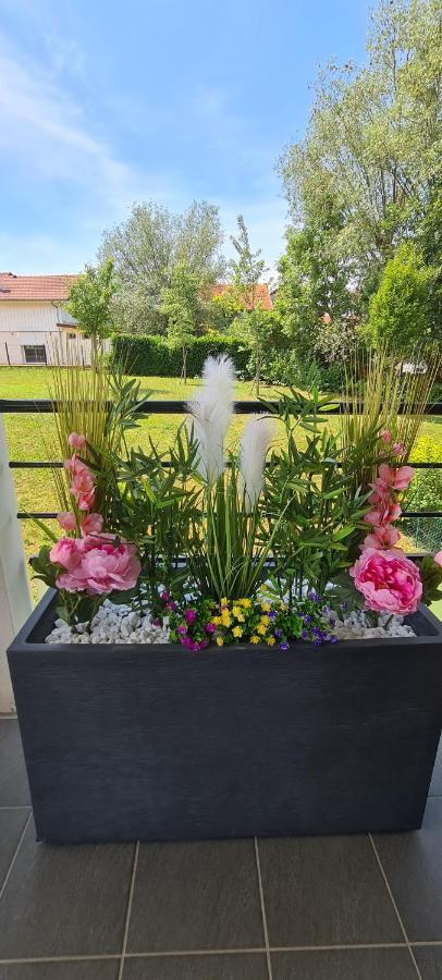 Le Cocon Du Leman Apartamento Viry  Exterior foto