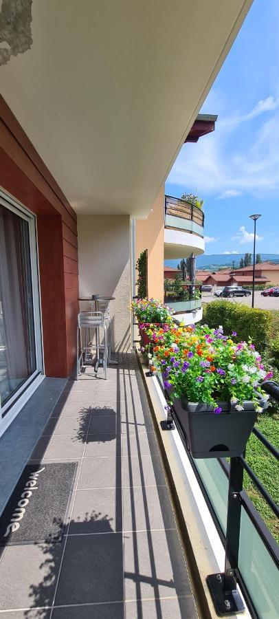 Le Cocon Du Leman Apartamento Viry  Exterior foto