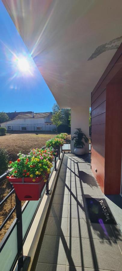 Le Cocon Du Leman Apartamento Viry  Exterior foto
